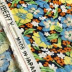 ���̑��̉摜