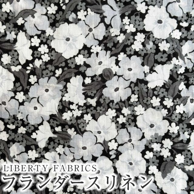 ���̑��̉摜