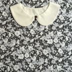 ���̑��̉摜