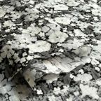 ���̑��̉摜