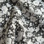 ���̑��̉摜