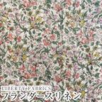 ���̑��̉摜