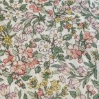 ���̑��̉摜