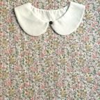 ���̑��̉摜