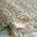 ���̑��̉摜