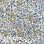 ���̑��̉摜