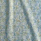 ���̑��̉摜