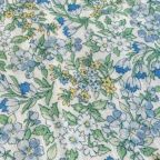 ���̑��̉摜