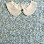 ���̑��̉摜