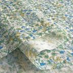 ���̑��̉摜