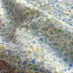 ���̑��̉摜