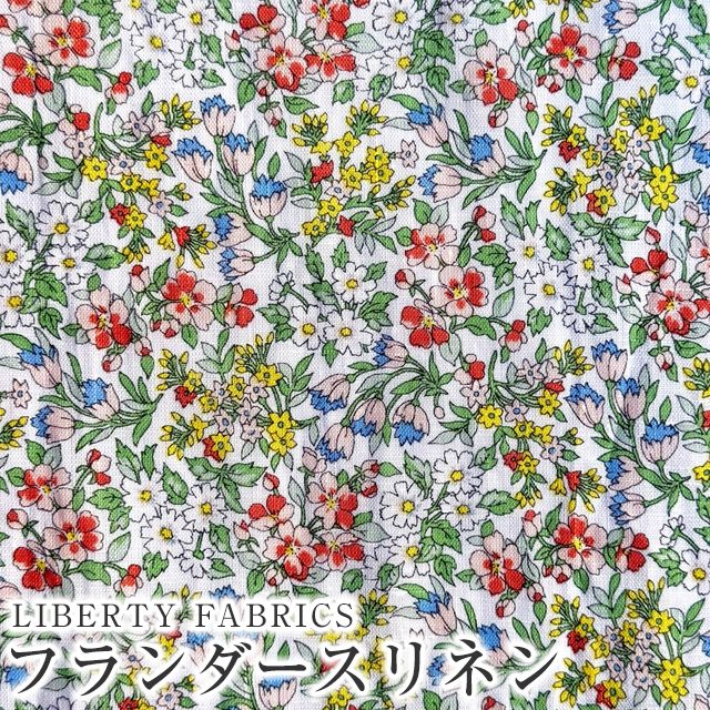 ���̑��̉摜