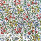 ���̑��̉摜