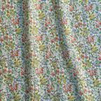 ���̑��̉摜