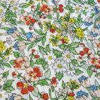 ���̑��̉摜