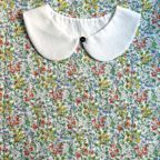 ���̑��̉摜