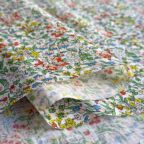 ���̑��̉摜