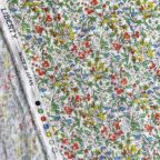 ���̑��̉摜