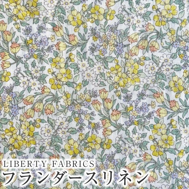 ���̑��̉摜