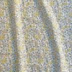 ���̑��̉摜