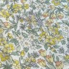 ���̑��̉摜