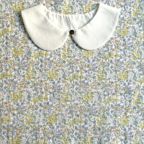 ���̑��̉摜