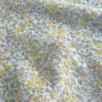 ���̑��̉摜