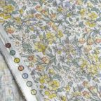 ���̑��̉摜