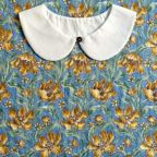 ���̑��̉摜