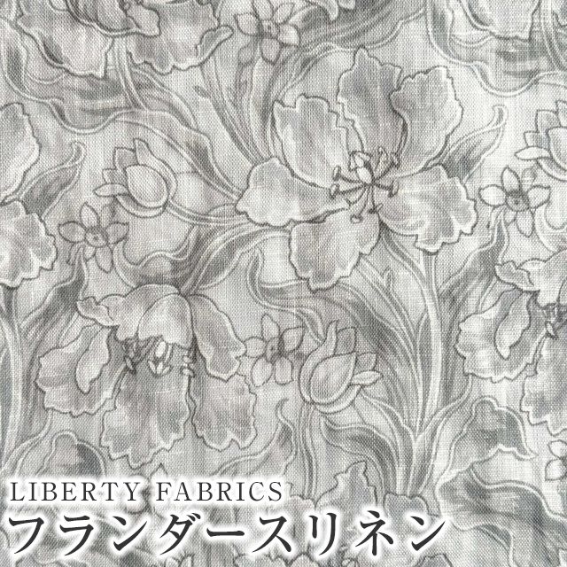 ���̑��̉摜