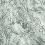 ���̑��̉摜