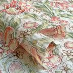 ���̑��̉摜