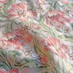 ���̑��̉摜