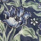 ���̑��̉摜