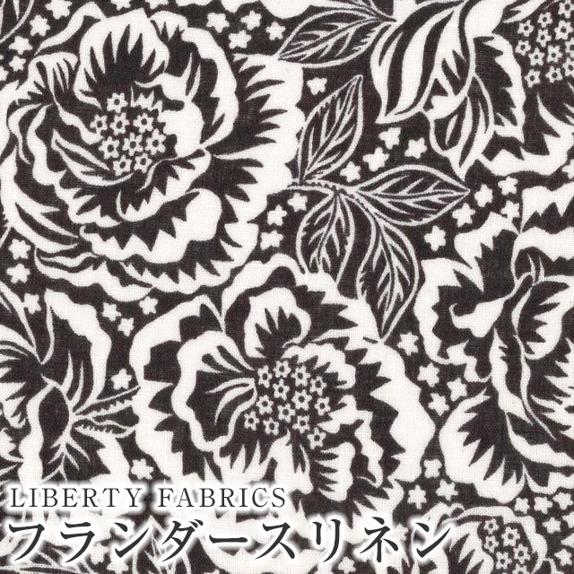 ���̑��̉摜