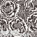 ���̑��̉摜