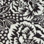 ���̑��̉摜