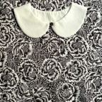 ���̑��̉摜