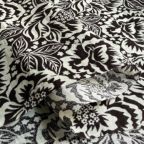 ���̑��̉摜