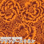 ���̑��̉摜