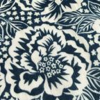 ���̑��̉摜