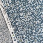 ���̑��̉摜