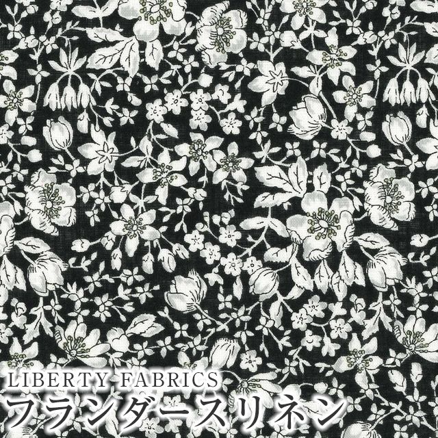 ���̑��̉摜