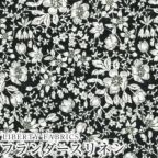 ���̑��̉摜