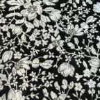 ���̑��̉摜