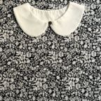 ���̑��̉摜