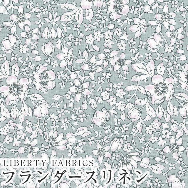 ���̑��̉摜