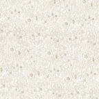 ���̑��̉摜