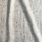 ���̑��̉摜