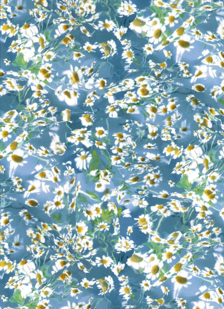 リバティ　タナローンRページ LIBERTY FABRICS リバティプリント イタリア製タナローン生地＜Baba